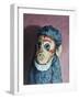 Ollie Monkey, 2007,-Peter Jones-Framed Giclee Print