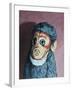 Ollie Monkey, 2007,-Peter Jones-Framed Giclee Print