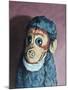 Ollie Monkey, 2007,-Peter Jones-Mounted Giclee Print