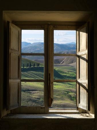 Outside View of Cypress Trees and Green Hills Through a Shabby Windows