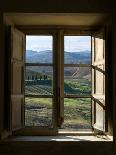 Outside View of Cypress Trees and Green Hills Through a Shabby Windows-ollirg-Photographic Print