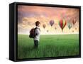 Framed Canvas