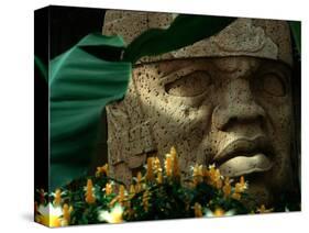 Olmec, Colossal Head, San Lorenzo, Xalapa Museum, Veracruz, Mexico-Kenneth Garrett-Stretched Canvas