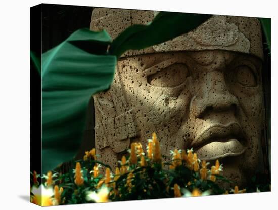 Olmec, Colossal Head, San Lorenzo, Xalapa Museum, Veracruz, Mexico-Kenneth Garrett-Stretched Canvas