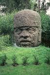 Colossal Head-Olmec-Stretched Canvas
