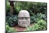 Olmec Head in a Forest-null-Mounted Art Print