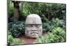 Olmec Head in a Forest-null-Mounted Art Print