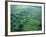 Olmec, Laguna de los Cerros, Mexico-Kenneth Garrett-Framed Photographic Print