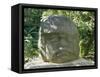 Olmec Stone Head at Parque-Museo La Venta, Villahermosa, Tabasco, Mexico, North America-Richard Nebesky-Framed Stretched Canvas