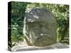 Olmec Stone Head at Parque-Museo La Venta, Villahermosa, Tabasco, Mexico, North America-Richard Nebesky-Stretched Canvas