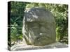 Olmec Stone Head at Parque-Museo La Venta, Villahermosa, Tabasco, Mexico, North America-Richard Nebesky-Stretched Canvas