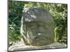 Olmec Stone Head at Parque-Museo La Venta, Villahermosa, Tabasco, Mexico, North America-Richard Nebesky-Mounted Photographic Print