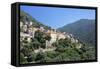 Olmeto, Corsica, France, Mediterranean, Europe-Markus Lange-Framed Stretched Canvas