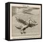 Olor the Swan-Gaius Julius Hyginus-Framed Stretched Canvas