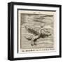 Olor the Swan-Gaius Julius Hyginus-Framed Art Print