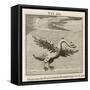 Olor the Swan-Gaius Julius Hyginus-Framed Stretched Canvas