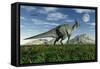 Olorotitan Duckbill Dinosaurs Grazing-null-Framed Stretched Canvas