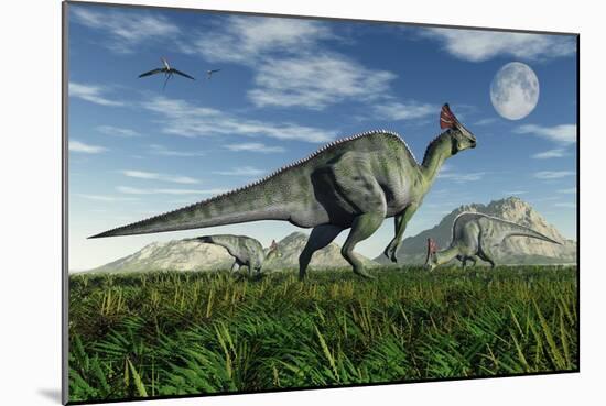 Olorotitan Duckbill Dinosaurs Grazing-null-Mounted Art Print