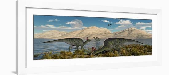 Olorotitan Duckbilled Dinosaurs Grazing-null-Framed Art Print