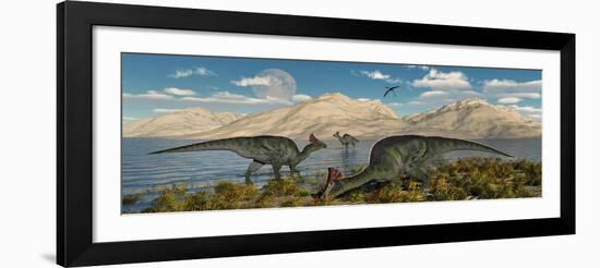 Olorotitan Duckbilled Dinosaurs Grazing-null-Framed Art Print