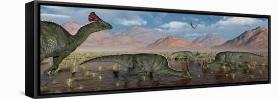 Olorotitan Duckbilled Dinosaurs Grazing-null-Framed Stretched Canvas