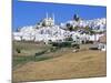 Olvera, Andalucia, Spain-Rob Cousins-Mounted Photographic Print