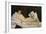 Olympia, 1863-1865-Edouard Manet-Framed Giclee Print