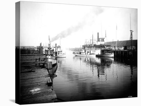 Olympia Harbor, Circa 1910-Asahel Curtis-Stretched Canvas
