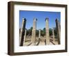 Olympia, Unesco World Heritage Site, Greece-Oliviero Olivieri-Framed Photographic Print