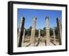 Olympia, Unesco World Heritage Site, Greece-Oliviero Olivieri-Framed Photographic Print