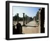 Olympia, Unesco World Heritage Site, Greece-Oliviero Olivieri-Framed Photographic Print