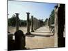 Olympia, Unesco World Heritage Site, Greece-Oliviero Olivieri-Mounted Photographic Print