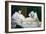 Olympia-Edouard Manet-Framed Art Print