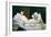 Olympia-Edouard Manet-Framed Art Print