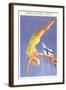 Olympic Diving, Helsinki, Finland, 1952-null-Framed Art Print