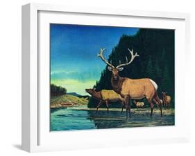 Olympic Elk-Bruce Bontrager-Framed Giclee Print