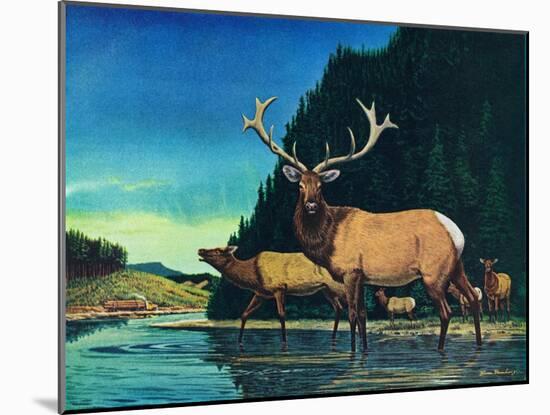 Olympic Elk-Bruce Bontrager-Mounted Giclee Print