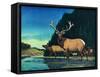 Olympic Elk-Bruce Bontrager-Framed Stretched Canvas