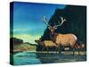 Olympic Elk-Bruce Bontrager-Stretched Canvas