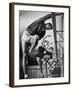 Olympic High Jumper Walter Davis Doing Ballet Exercises in Class of Women Dancers-John Dominis-Framed Premium Photographic Print