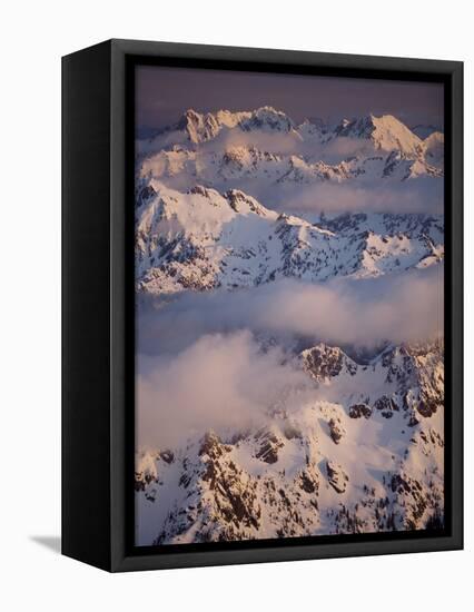 Olympic Mountain Range, Olympic National Park, UNESCO World Heritage Site, Washington State, USA-Colin Brynn-Framed Stretched Canvas