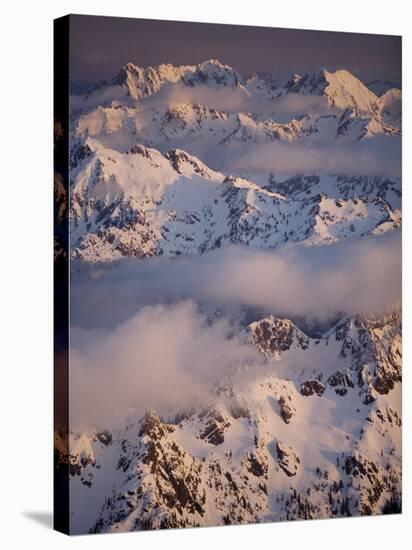 Olympic Mountain Range, Olympic National Park, UNESCO World Heritage Site, Washington State, USA-Colin Brynn-Stretched Canvas