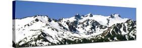 Olympic Mountain View-Douglas Taylor-Stretched Canvas