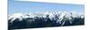 Olympic Mountain Vista-Douglas Taylor-Mounted Premium Giclee Print