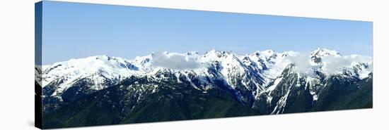 Olympic Mountain Vista-Douglas Taylor-Stretched Canvas