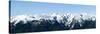 Olympic Mountain Vista-Douglas Taylor-Stretched Canvas