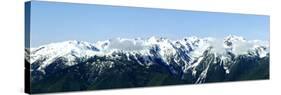 Olympic Mountain Vista-Douglas Taylor-Stretched Canvas