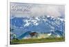 Olympic National Park - Deer and Hurricane Ridge-Lantern Press-Framed Art Print