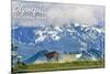 Olympic National Park - Deer and Hurricane Ridge-Lantern Press-Mounted Premium Giclee Print