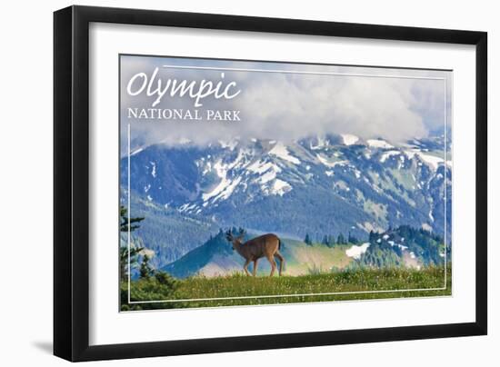 Olympic National Park - Deer and Hurricane Ridge-Lantern Press-Framed Art Print